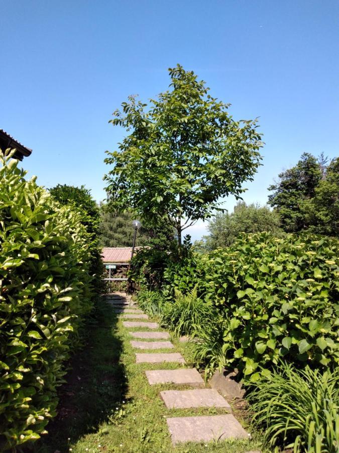 Willa Maison Al Nocino Stresa Zewnętrze zdjęcie